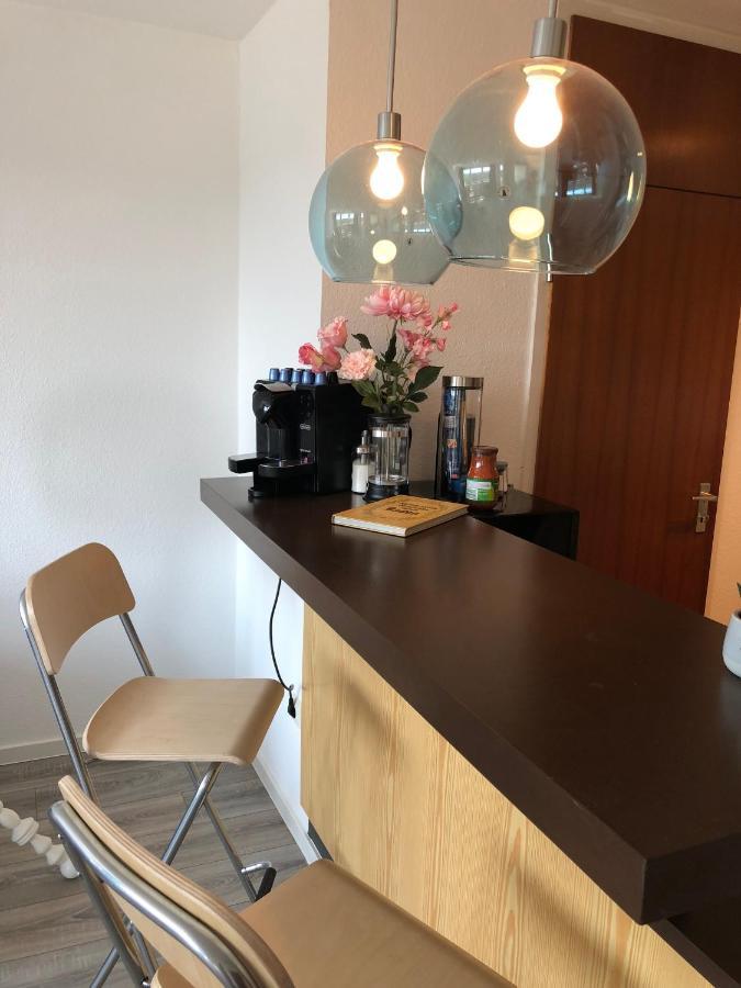 Grosses Appartement Mit Aussichtsbalkon Людвігсбург Екстер'єр фото